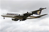 Alfonso Sols - Asociacin Canary Islands Spotting. Click to see full size photo