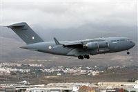 ©Adolfo Bento - Gran Canaria Spotters. Click to see full size photo ©Adolfo Bento - Gran Canaria Spotters. Click to see full size photo