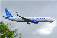 Miguel A. gueda Rguez.  (CANARY ISLANDS SPOTTING). Click to see full size photo