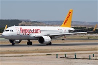 ©Román A. Pérez. Click to see full size photo ©Román A. Pérez. Click to see full size photo