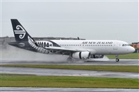 �Miguel A. �gueda Rguez.  (CANARY ISLANDS SPOTTING). Haz click para ampliar