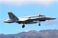 �Manuel Fernandez. Click to see full size photo