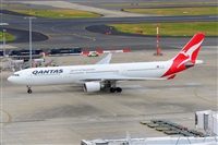 �Miguel A. �gueda Rguez.  (CANARY ISLANDS SPOTTING). Click to see full size photo