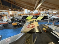 �Daniel Ferro. Click to see full size photo