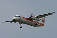 Jos Miguel Bernases - Noisy Spotters. Click to see full size photo
