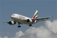 Jos Miguel Bernases - Noisy Spotters. Click to see full size photo