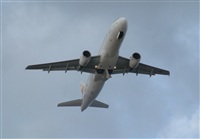 Adrin Alonso Lemes - Lanzarote Spotters. Click to see full size photo