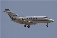 Jos Miguel Bernases - Noisy Spotters. Click to see full size photo