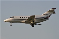 Cele - Spotters BCN. Click to see full size photo