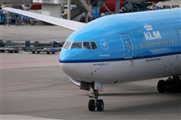Rodrigo Carvalho - Noisy Spotters. Click to see full size photo