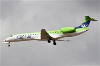 La Roche Spotters. Click to see full size photo