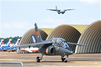 Aset Anton. Click to see full size photo