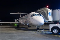 ©Javier de la Cruz - CANARY ISLANDS SPOTTING. Click to see full size photo ©Javier de la Cruz - CANARY ISLANDS SPOTTING. Click to see full size photo