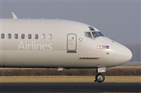 Jos Miguel Bernases - Noisy Spotters. Click to see full size photo