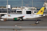 Miguel A. gueda Rguez.  (CANARY ISLANDS SPOTTING). Click to see full size photo