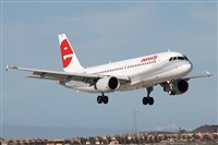Alfonso Sols - Asociacin Canary Islands Spotting. Haz click para ampliar