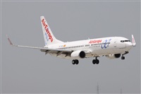 Alfonso Sols - Asociacin Canary Islands Spotting. Click to see full size photo