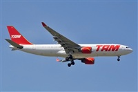 Miguel A. gueda Rguez.  (CANARY ISLANDS SPOTTING). Click to see full size photo
