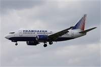 Alfonso Sols - Asociacin Canary Islands Spotting. Haz click para ampliar