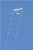 Diego Mancilla. Click to see full size photo