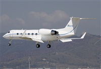 Jos Miguel Bernases - Noisy Spotters. Click to see full size photo