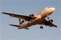 Ana L@dy Spotter. Haz click para ampliar