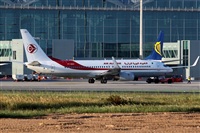 Nacho Rodriguez - Canary Islands Spotting. Click to see full size photo