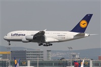 Adrin Alonso Lemes - Lanzarote Spotters. Click to see full size photo
