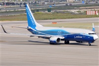 Rubn Gil - Noisy Spotters. Click to see full size photo