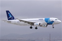 ©Salvador de la Rubia ( Marbella Spotters ). Click to see full size photo ©Salvador de la Rubia ( Marbella Spotters ). Click to see full size photo