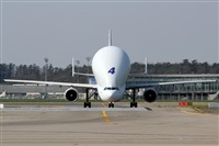 Rodrigo Carvalho - Noisy Spotters. Click to see full size photo