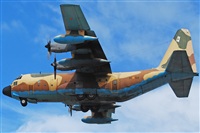 Toms Asensio - GranCanariaSpotters. Click to see full size photo