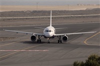 Javier de la Cruz - CANARY ISLANDS SPOTTING. Click to see full size photo