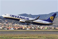 Miguel A. gueda Rguez.  (CANARY ISLANDS SPOTTING). Click to see full size photo
