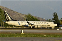 ©Gonzalo Cifuentes Vladilo. Click to see full size photo ©Gonzalo Cifuentes Vladilo. Click to see full size photo