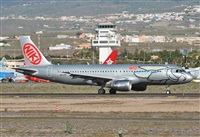 Alejandro Bethencourt (Canary Islands Spotting). Click to see full size photo