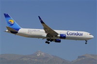 Miguel A. gueda Rguez.  (CANARY ISLANDS SPOTTING). Click to see full size photo