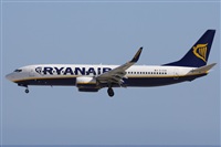 Alfonso Sols - Asociacin Canary Islands Spotting. Click to see full size photo