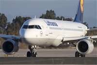 Miguel Alia - Noisy Spotters. Click to see full size photo