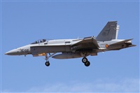 Alfonso Sols - Asociacin Canary Islands Spotting. Haz click para ampliar