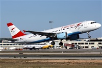 ©Javier Rodríguez. Click to see full size photo ©Javier Rodríguez. Click to see full size photo