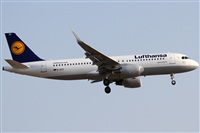 Rubn Gil - Noisy Spotters. Click to see full size photo