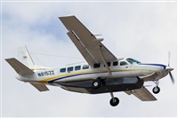 Adolfo Bento - Gran Canaria Spotters. Click to see full size photo