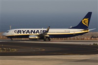 Alfonso Sols - Asociacin Canary Islands Spotting. Click to see full size photo
