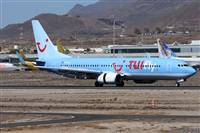 ©Alfonso Solís - Asociación Canary Islands Spotting. Click to see full size photo ©Alfonso Solís - Asociación Canary Islands Spotting. Click to see full size photo
