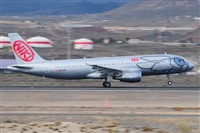 Miguel A. gueda Rguez.  (CANARY ISLANDS SPOTTING). Click to see full size photo