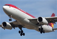 Miguel Alia - Noisy Spotters. Click to see full size photo