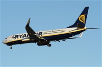 Alfonso Sols - Asociacin Canary Islands Spotting. Click to see full size photo