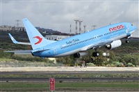 Alfonso Sols - Asociacin Canary Islands Spotting. Haz click para ampliar