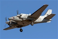 Bartolom Fernndez - Gran Canaria Spotters. Click to see full size photo